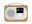 Bild 0 Pure DAB+ Radio Evoke H4 BT Eiche, Radio Tuner