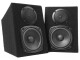 Fenton Studiomonitore DMS40 Schwarz, Monitor Typ: Multimedia