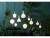Bild 1 Star Trading Lampe Dou Coating Opaq 5 W (35 W