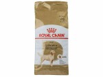 Royal Canin Trockenfutter Breed Nutrition Labrador Retriever Adult