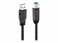 LINDY - USB-Kabel - USB Typ A (M) zu