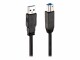 LINDY - USB-Kabel - USB Typ A (M) bis