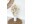 Bild 1 Soli Collection Trockenblumen Nadine 60 cm, Weiss, Produkttyp