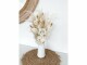 Soli Collection Trockenblumen Nadine 60 cm, Weiss, Produkttyp