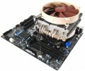 Noctua