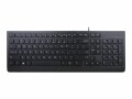 Lenovo Essential - Tastatur - USB