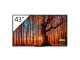 Sony Public Display FWD-43W66F/T, Bildschirmdiagonale: 43 "