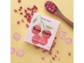True Gum Kaugummi Himbeere & Vanille 21 g, Produkttyp: Zuckerfreier