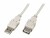 Bild 0 Wirewin USB 2.0-Verlängerungskabel USB A - USB A