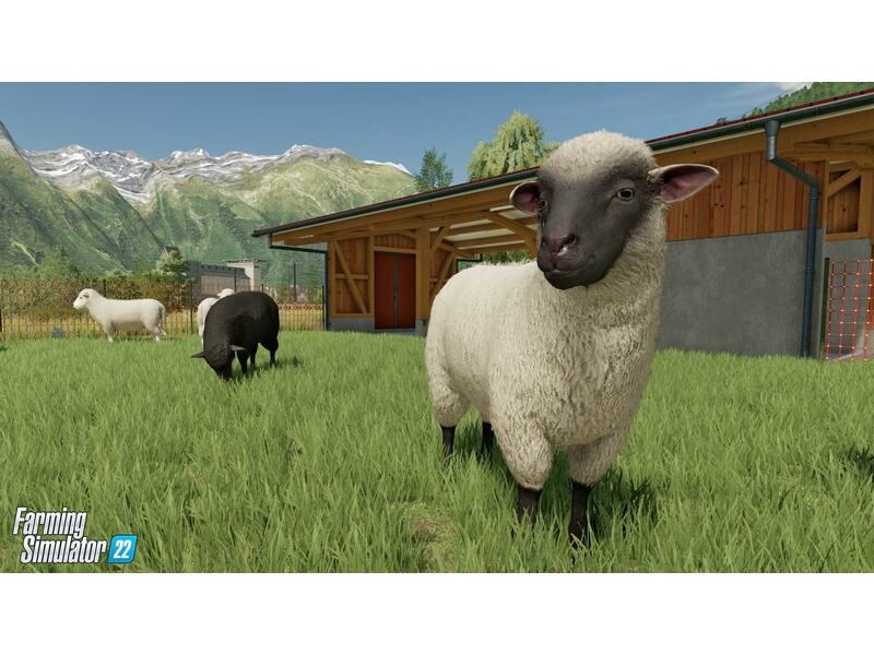 Wir Center Computing And Software Gaming Games Giants Software Landwirtschafts Simulator 9206