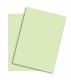 PAPYRUS   Rainbow Papier FSC          A4 - 88043109  hellgrün, 120g       250 Blatt