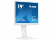 iiyama ProLite B1980D-W1 - LED monitor - 19"