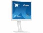 iiyama Monitor ProLite B1980D-W1, Bildschirmdiagonale: 17 "