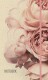 NATURVERL Notizbuch Hardcover    13x21cm - 10901N    Roses, blanko