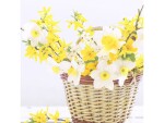 Paper + Design Papierservietten Daffodil 33 cm x 33 cm, 20