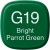 Bild 0 COPIC Marker Classic 20075213 G19 - Bright Parrot Green