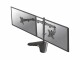 Neomounts Flat Screen Desk Mount (stand