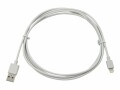 COMPULOCKS 10pin Charging Cablef iPad 6ft