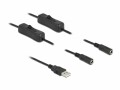 DeLock USB-Kabel USB-AStecker zu 2x DC 5.5 x 2.1