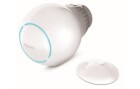 Fibaro Funk-Heizkörperthermostat Z-Wave mit Sensor