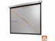 Celexon Rollo-Leinwand Professional Plus 300x225 cm 4:3