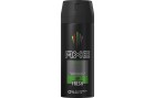 Axe Deo Spray Africa 150 ml, 150 ml