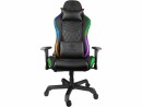 DELTACO RGB LED Gaming Chair DC410