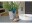 Bild 6 Gardena Gartenschere HerbCut Set, Schnittbreite: 52 mm, Scherentyp
