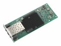 IBM Intel X520 - Netzwerkadapter - 10 GigE - 2