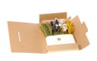 Anjel Trockenblumen in Kartonbox Gelb/Blau, Produkttyp