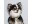 Image 1 Dog with a mission Halsband Beads Paddy Lee, XXS, 2 cm, Halsumfang