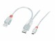 LINDY - USB-Kabel - USB, USB (nur Strom) (M