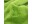 Bild 1 Möve Handtuch Superwuschel 50 x 100 cm, Grün, Eigenschaften