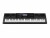 Bild 1 Casio Workstation WK-7600, Tastatur Keys: 76, Gewichtung: Nicht