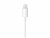 Bild 4 Apple Audio-Kabel Apple Lightning - Klinke 3.5 mm, male