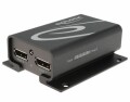 DeLock Displayport Switchbox, 2 Port, 4K