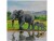 Bild 0 CRAFT Buddy Bastelset Crystal Art Card Elephant, Altersempfehlung ab