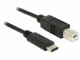 Image 1 DeLock DeLOCK - USB-Kabel - 24-Pin-USB Typ C (M)