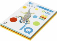 IQ Kopierpapier Color A4 300537 80g farbig 250 Blatt