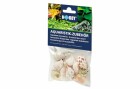 Hobby Aquaristik Dekoration Sea Shells Set, M, 10 Stück, Einrichtung