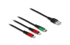 DeLock USB-Ladekabel USB A - Lightning/USB C 0.3 m