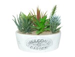 Dameco Kunstpflanze Sukkulenten «Welcome» 16 cm, mit Topf