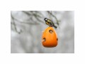 CJ Wildlife Nistmaterialhalter Fiesta Orange, Tierart: Vogel