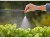 Bild 4 Gardena Nebeldüse Micro-Drip-System, Bewässerungsart