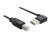 Image 1 DeLock Delock Easy-USB2.0-Kabel A-B: 1m, USB-A Anschluss