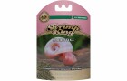 Dennerle Basisfutter Shrimp King Snail Stixx, 45 g, Fischart