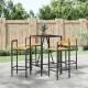 vidaXL 5-tlg. Gartenbar-Set Schwarz Poly Rattan & Massivholz Akazie