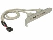 DeLock - Pannello USB - header USB a 10 pin (M) a USB (F) - 30 cm