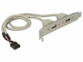 DeLock - USB panel - 10 pin USB header (M) to USB (F) - 30 cm