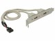 DeLock Bracket 2x USB2.0 Pin Header intern, Datenanschluss Seite